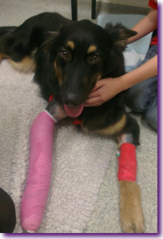 Captura de pantalla 2012-11-27 a la(s) 10.25.00