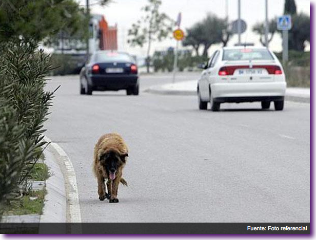 Captura de pantalla 2012-12-16 a la(s) 20.16.54