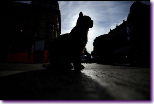 Captura de pantalla 2013-01-04 a la(s) 20.25.55