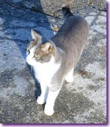 Captura de pantalla 2013-01-04 a la(s) 20.31.44