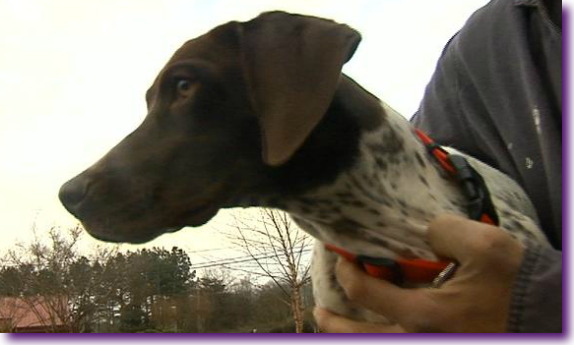 Captura de pantalla 2013-01-04 a la(s) 22.35.06