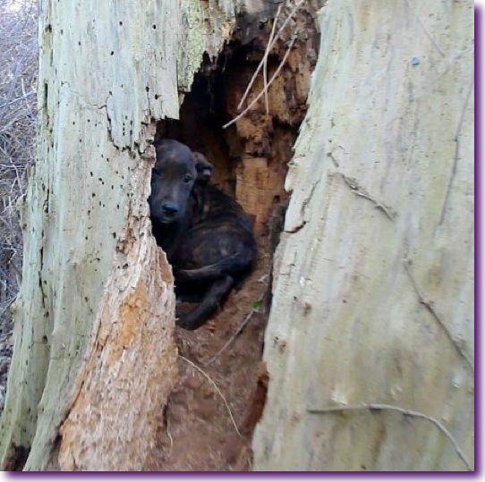 Captura de pantalla 2013-01-06 a la(s) 11.19.40