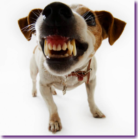 Captura de pantalla 2013-02-21 a la(s) 13.48.35