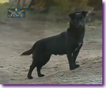 Captura de pantalla 2013-03-06 a la(s) 10.37.01