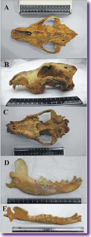 Captura de pantalla 2013-03-07 a la(s) 11.19.33