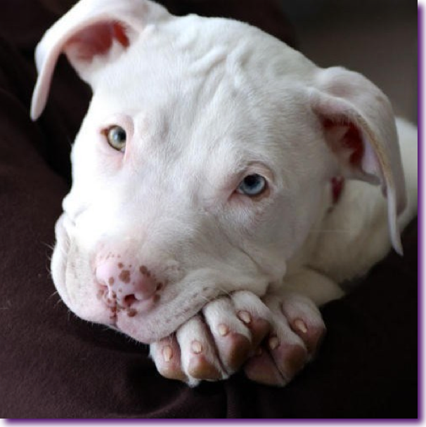 Captura de pantalla 2013-04-10 a la(s) 15.37.13