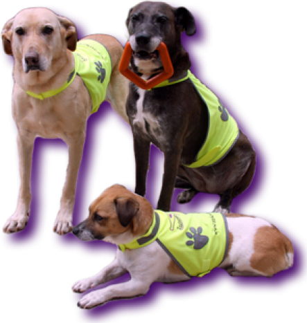 Captura de pantalla 2013-05-08 a la(s) 21.04.59