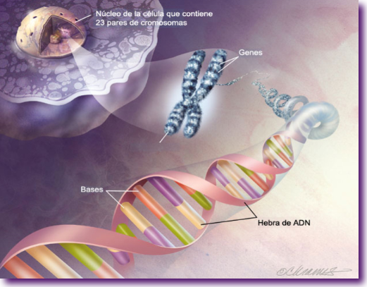 Captura de pantalla 2013-06-01 a la(s) 18.31.16