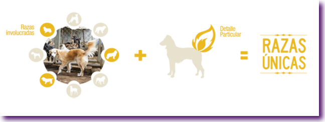 Captura de pantalla 2013-08-23 a la(s) 12.28.57