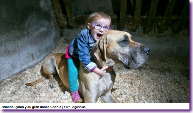 Captura de pantalla 2013-10-23 a la(s) 20.54.30