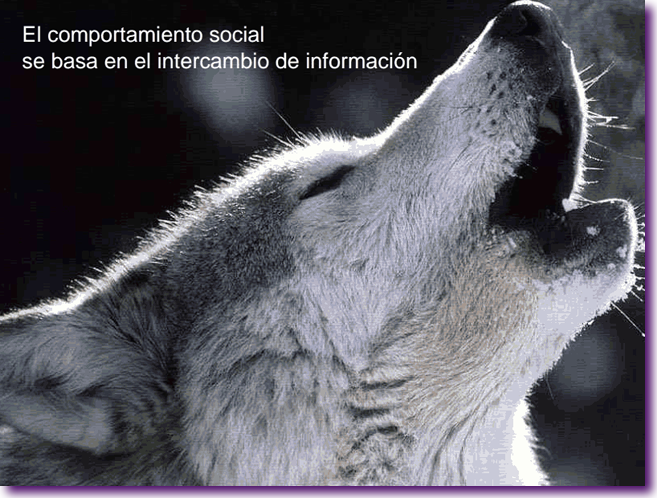 Captura de pantalla 2013-12-01 a la(s) 22.12.44