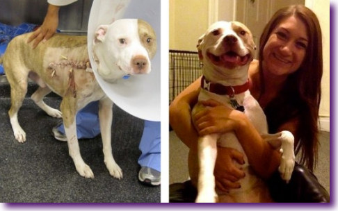 Captura de pantalla 2014-03-05 a la(s) 22.03.19