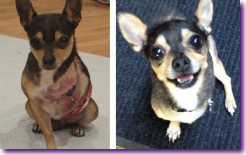 Captura de pantalla 2014-03-05 a la(s) 22.35.05