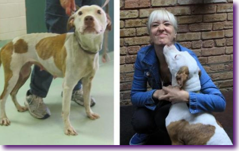 Captura de pantalla 2014-03-05 a la(s) 22.36.34