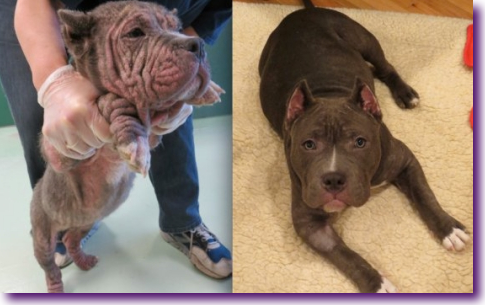 Captura de pantalla 2014-03-05 a la(s) 22.37.17