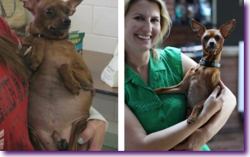 Captura de pantalla 2014-03-05 a la(s) 22.38.32