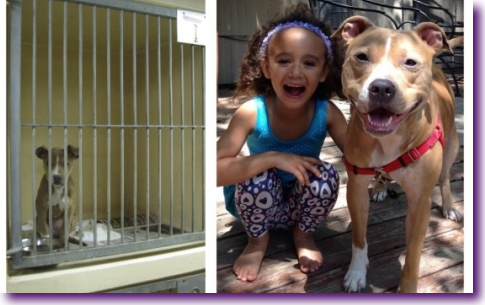 Captura de pantalla 2014-03-05 a la(s) 22.39.13