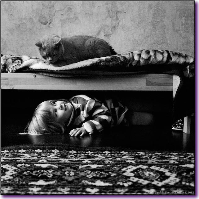 La-bella-historia-de-amistad-entre-una-niña-y-su-gato-03