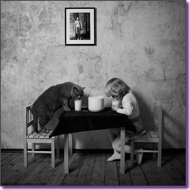 La-bella-historia-de-amistad-entre-una-niña-y-su-gato-04