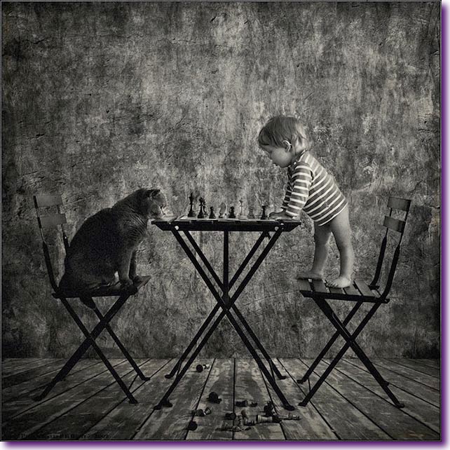 La-bella-historia-de-amistad-entre-una-niña-y-su-gato-17