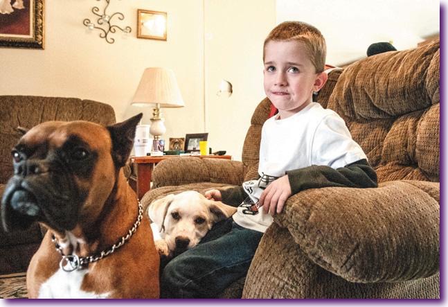 niño-perdido-perros