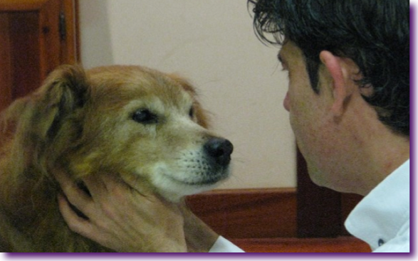 pablo-herreros-lupo-2