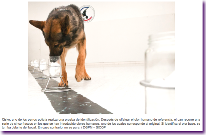 perro-policia-olores