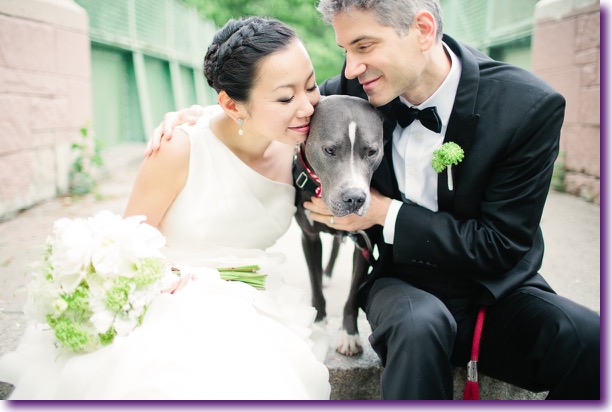 slide_405434_5059586_free