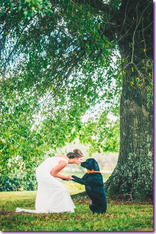 slide_405434_5059588_free