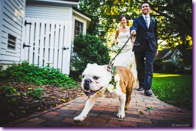 slide_405434_5059590_free