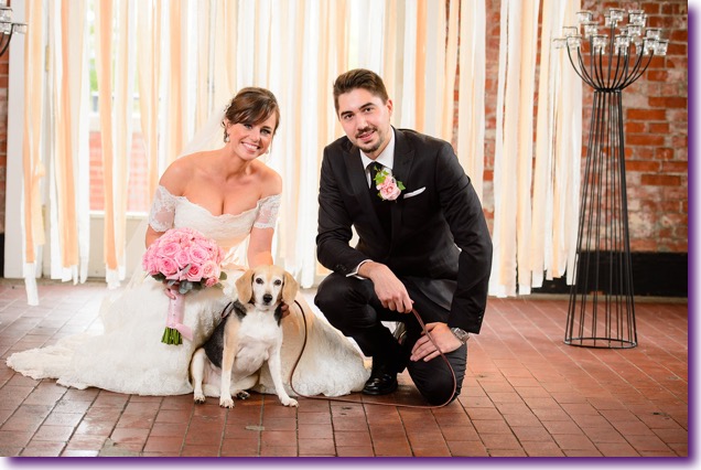 slide_405434_5059592_free