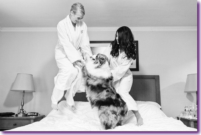 slide_405434_5059596_free