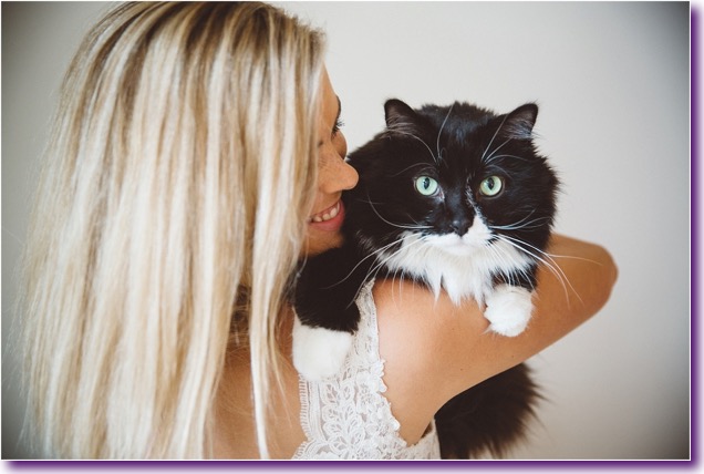 slide_405434_5059598_free