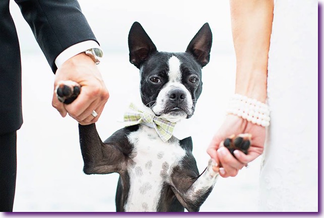 slide_405434_5059602_free