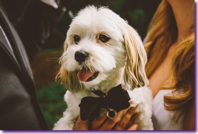 slide_405434_5059604_free