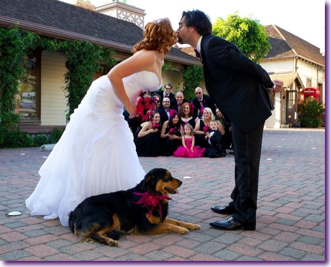 slide_405434_5059606_free