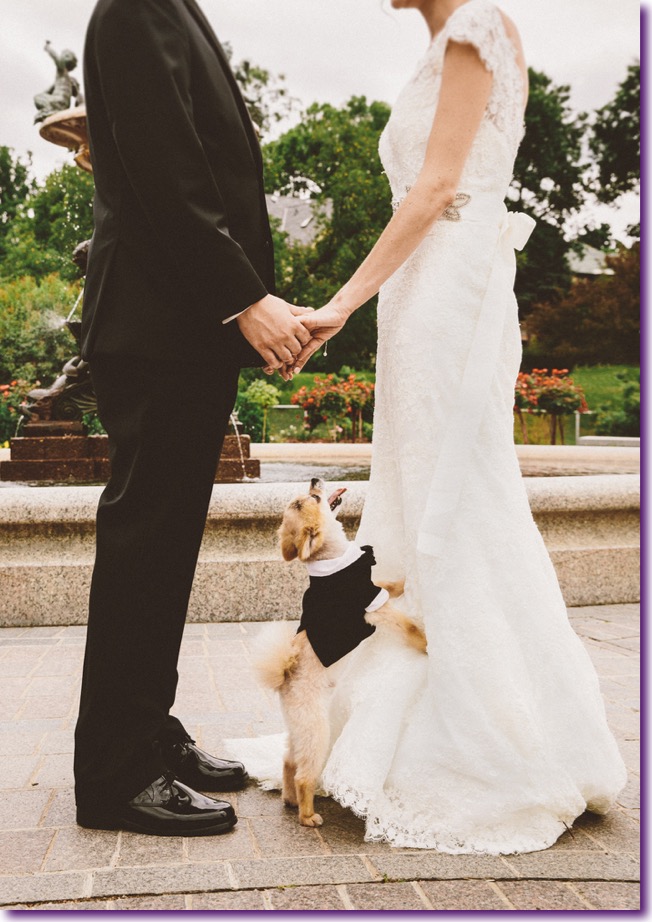 slide_405434_5059610_free