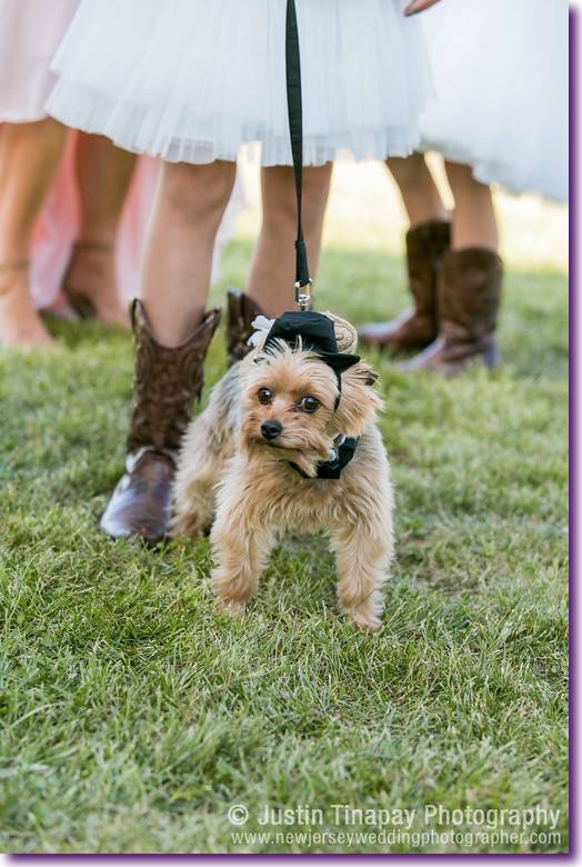 slide_405434_5059612_free