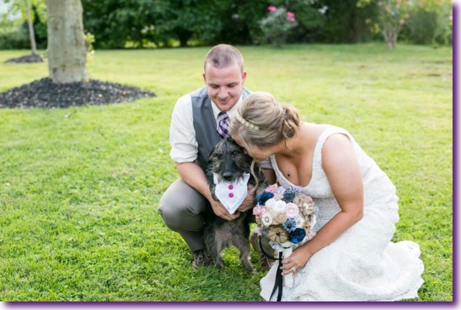 slide_405434_5059614_free