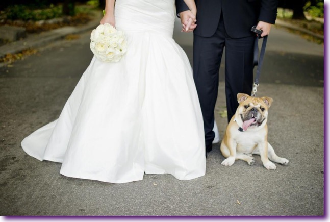 slide_405434_5059620_free