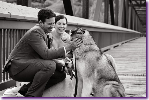 slide_405434_5059622_free