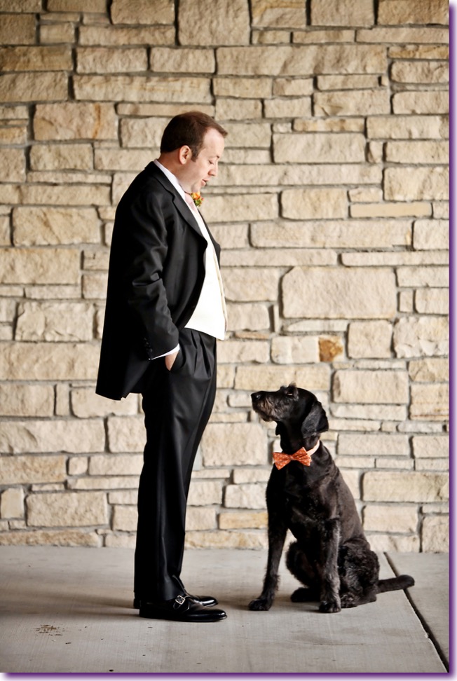 slide_405434_5059624_free