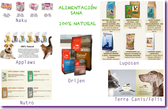 alimentacion-natural-perros