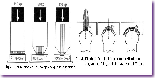 Captura de pantalla 2012-11-18 a la(s) 12.14.42