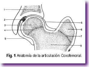 Captura de pantalla 2012-11-18 a la(s) 12.15.08