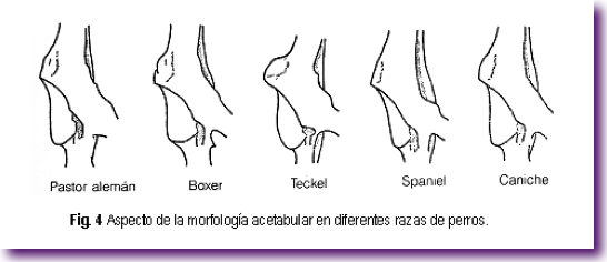 Captura de pantalla 2012-11-18 a la(s) 12.16.26