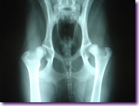 Captura de pantalla 2012-11-18 a la(s) 12.21.45