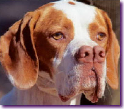 Captura de pantalla 2013-02-11 a la(s) 22.58.49