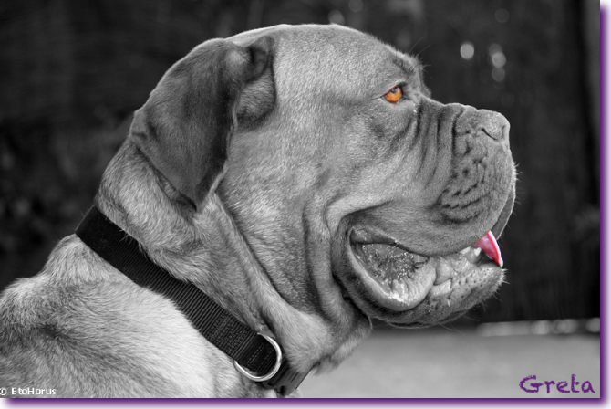 Captura de pantalla 2013-02-11 a la(s) 23.01.46