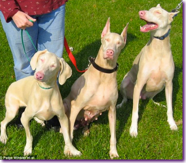 Captura de pantalla 2014-06-30 a la(s) 13.24.05